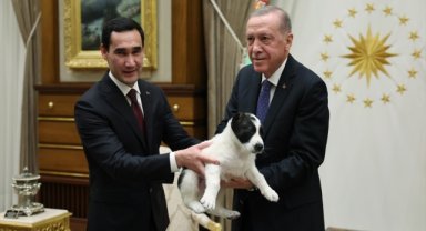 Cumhurbaşkanı Erdoğan ve Türkmenistan Devlet Başkanı Berdimuhamedov birbirlerine köpek hediye etti