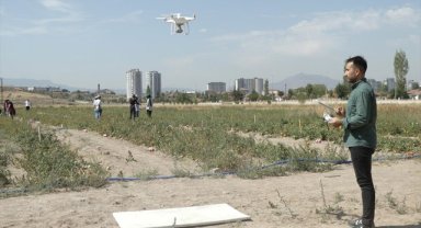 Domatesteki dolu hasarı yapay zeka ile belirlenecek