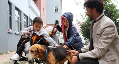 Gözleri görmeyen köpeğe öğretmenler ve özel eğitim öğrencileri sahip çıktı