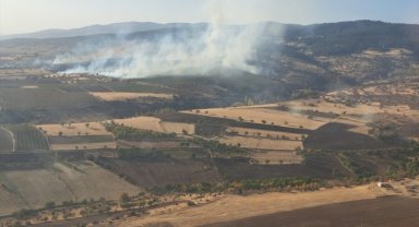 Eskişehir'de çıkan orman yangını kontrol altına alındı