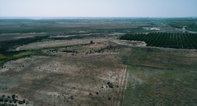 Hazine arazileriyle yatırım, tarımsal üretim ve kentsel dönüşüme katkı sağlanacak