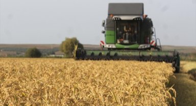 İklim değişikliği tarımda hasat tarihini erkene çekebilir