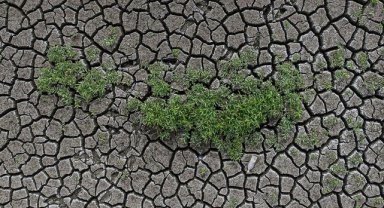 İklim değişikliğinin artan etkileri, tarımda daha fazla adaptasyon politikası gerektiriyor