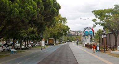 İklim değişikliğiyle mücadelede şehir peyzajlarında doğal bitki kullanımı önerisi