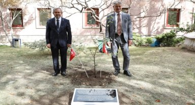 İsviçre Büyükelçisi'nden Ankara Üniversitesi'ne 100. yıl fidanı