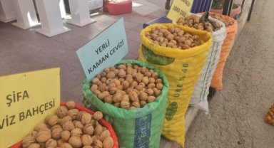 Kaman Ceviz Kültür ve Sanat Festivali başlıyor