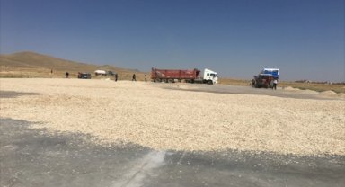 Kayseri'de ay çekirdeği için 10 bin metrekare beton kurutma alanı yapıldı