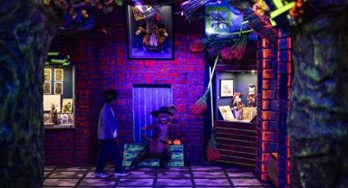 Kedi Müzesi, Beşiktaş'ta açıldı