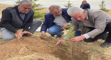 Kırşehir Şehitler Ormanı'na yeni fidanlar dikildi
