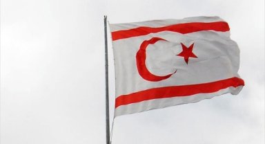 KKTC'de Batı Nil Virüsü vakası tespit edildi