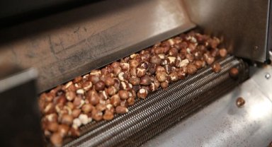 KOSGEB desteğiyle işlediği fındığı kendi markasıyla pazarlıyor