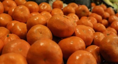 Meyve sebzelerdeki kimyasallar sağlığınız için risk oluşturuyor!