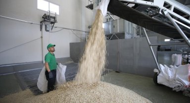 Nevşehirli girişimci kentin tescilli kabak çekirdeğini kurduğu tesis sayesinde ihraç ediyor