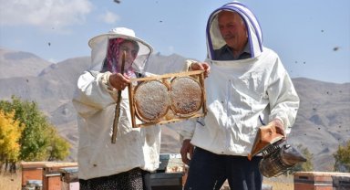 Ordulu çift "ikinci memleketimiz" dedikleri Hakkari'de 30 yıldır arıcılık yapıyor