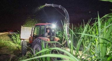 Sakarya'da "pakong" üretimiyle silaj maliyetinin düşürülüp hayvancılığın geliştirilmesi hedefleniyor