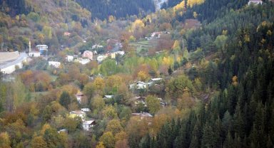 Şavşat'ta sonbahar renkleri hakim oldu