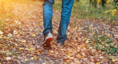 Son yüzyılda insanoğlunun hareket etme oranının yüzde 28'e düştüğü belirtildi