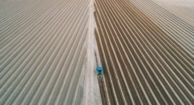 Tarımsal girdi fiyat endeksi ağustosta aylık yüzde 6,94, yıllık yüzde 41,33 arttı