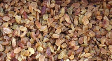 TARİŞ, çekirdeksiz kuru üzüm alım avans fiyatlarını güncelledi