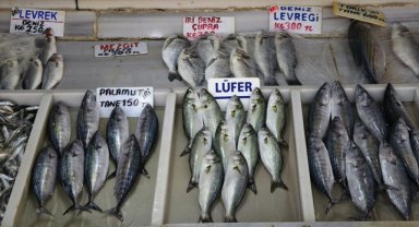 Tekirdağ'da ağlara takılan lüfer tezgahlarda yerini aldı