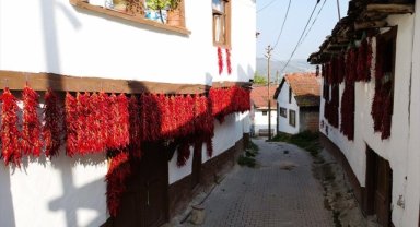 Tescilli "Çukurören biberi"nin üretildiği köy, kurutma mevsiminde kıpkırmızı oldu