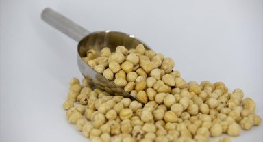 Trabzon'un 9 aylık fındık ihracatında AB ülkeleri başı çekti