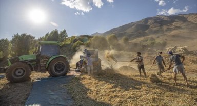 Tunceli Ovacık'ta 205 çiftçi 3 bin 671 dekarda fasulye üretiyor