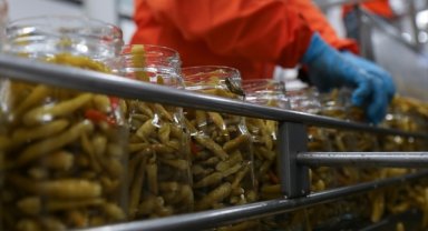 Turşu ihracatının büyük kısmı Ege'den yapıldı