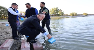 Ürgüp'teki Damsa Barajı'na 350 bin yavru sazan bırakıldı