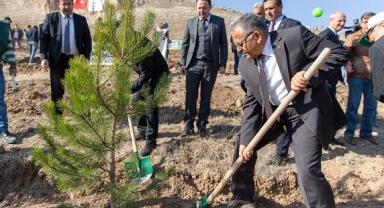 5 yılda 549 bin 735 adet ağaç ve çalı toprakla buluştu