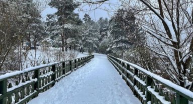 Abant Gölü Milli Parkı'nda yürüyüş yolları ve iskeleler karla kaplandı