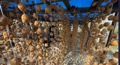 Adana'da kurutularak katma değer kazanan Trabzon hurmasında üretim artıyor