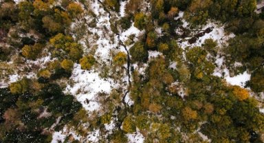 Ağaçları sonbahar renkleriyle süslü Çam Dağı kar yağışının ardından beyaz örtüyle kaplandı