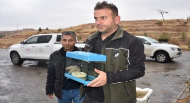 Aksaray'da bir otomobilde bal pitonu ele geçirildi