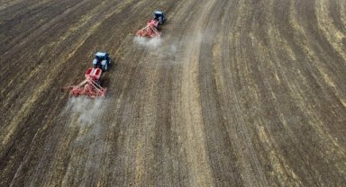 Anadolu Tarım İşletmesinin yerli tohumları çiftçiye dağıtılmak üzere toprakla buluştu