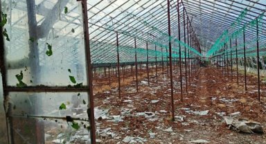 Antalya'nın Serik ilçesinde dolu seralara ve ürünlere zarar verdi