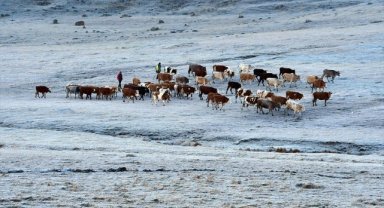 Ardahan, Erzurum ve Kars'ta soğuk hava etkili oldu