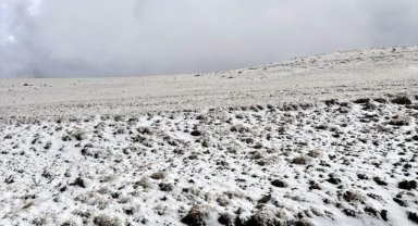 Ardahan'ın yüksek kesimlerinde kar etkili oldu