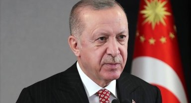 Avrupa Parlamentosunun Alman üyesinden Cumhurbaşkanı Erdoğan'a "Türkiye'nin çıkarlarını savunuyor" övgüsü