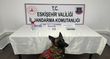 Beylikova'da uyuşturucu operasyonunda 2 şüpheli yakalandı