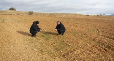 Beyşehir'den kısa kısa