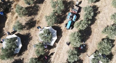 Bitkisel üretim desteklemelerinin uygulama esasları düzenlendi