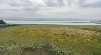 Bitmeyen yaz İstanbul barajlarındaki su seviyesini olumsuz etkiliyor
