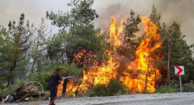 Bu yıl orman yangınlarının yüzde 80'i ihmal, dikkatsizlik ve kaza sonucu çıktı