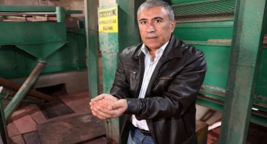 Buğday ve çavdar melezi "tritikale" eken tarım işletmesi rekor verim elde etti