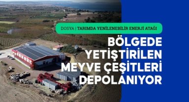 Çanakkale'deki soğuk hava deposu enerjisini çatısındaki 1110 güneş panelinden alıyor