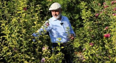 Çolakbayrakdar: Yeşil alanda rekor üstüne rekor kırdık