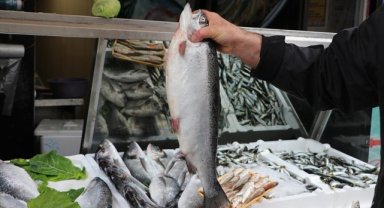 Doğu Karadeniz'den 10 ayda 133,2 milyon dolarlık Türk somonu ihraç edildi