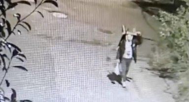 El arabasıyla geldiği villadan 5 milyon liralık mücevher bulunan çelik kasayı çaldı