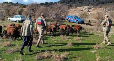Elazığ'da kaybolan 40 koyun dron görüntüleriyle bulundu